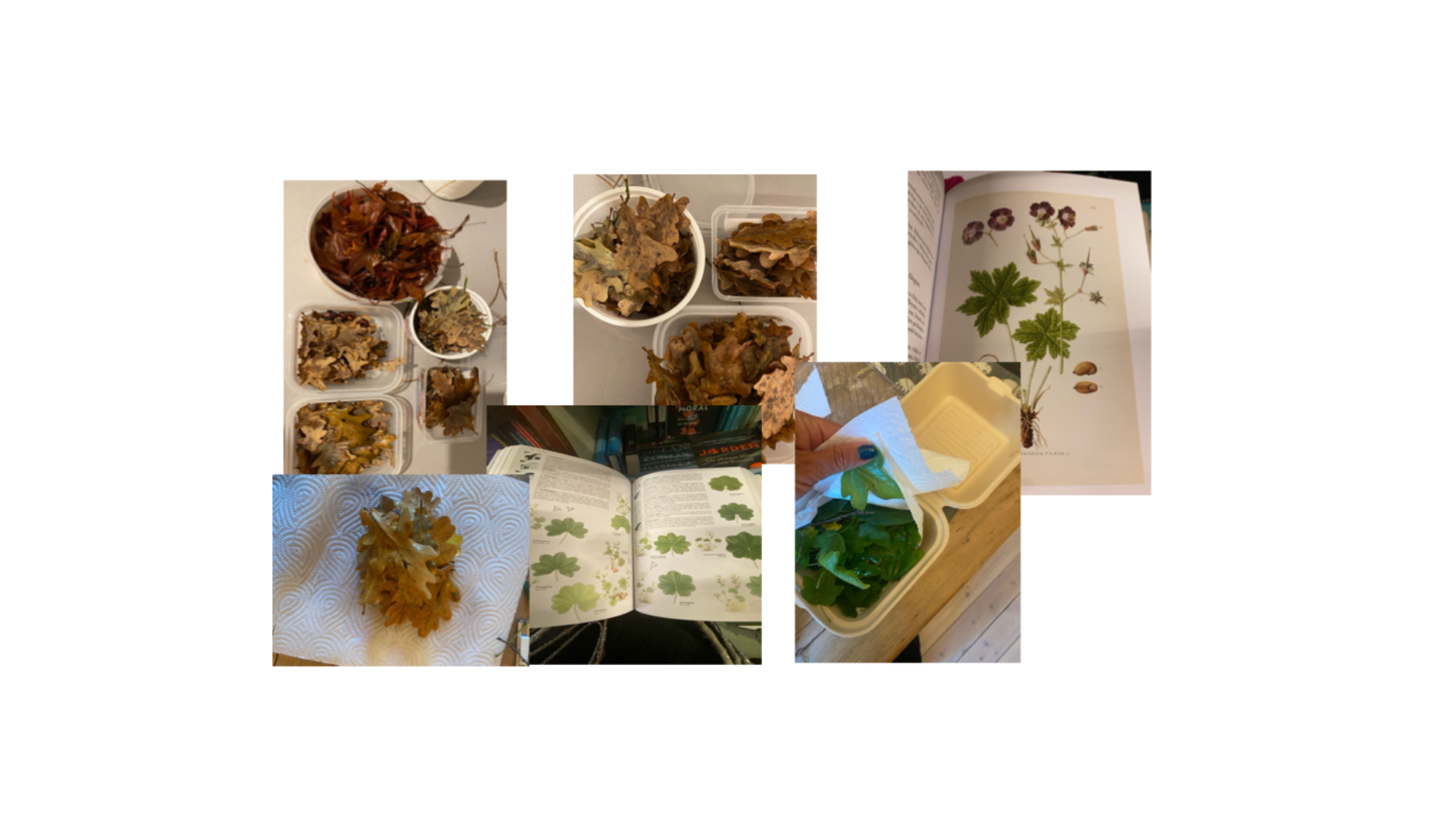 Research nature experiment